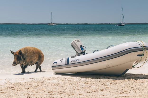 ePropulsion Spirit 1.0 PLUS 3HP